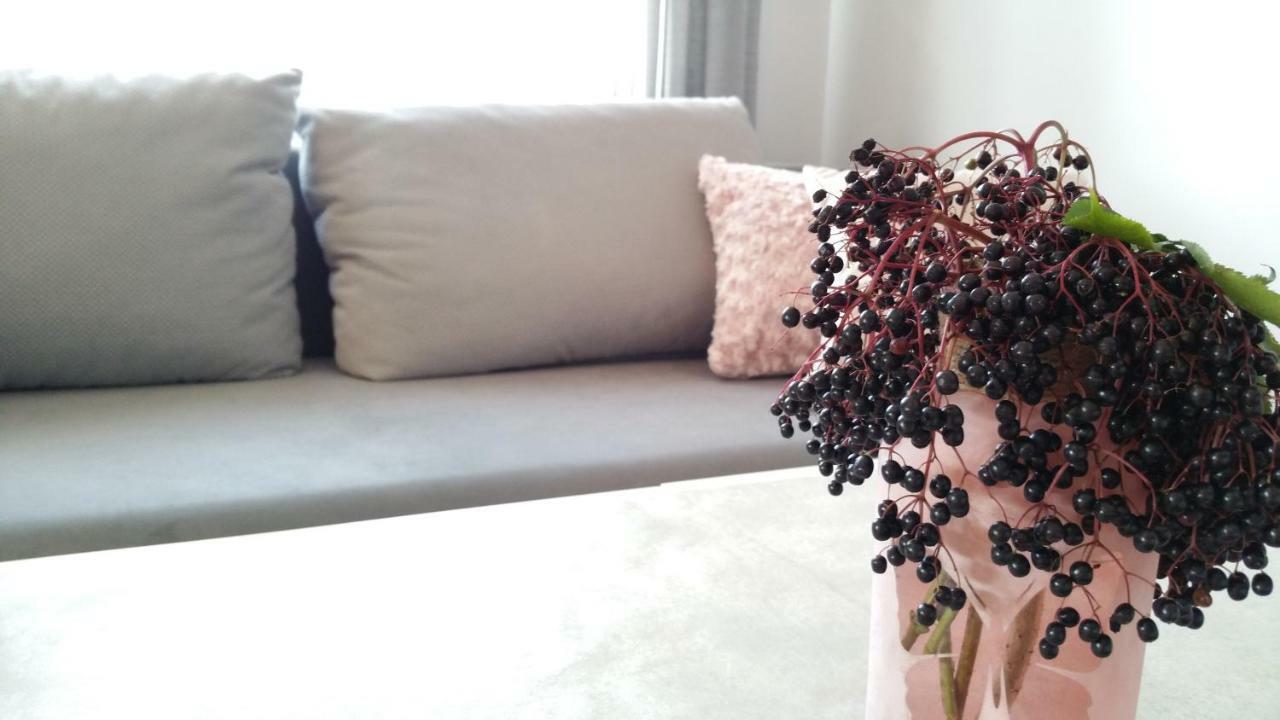 Royals Flower Apartments III كراكوفيا المظهر الخارجي الصورة